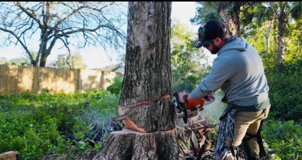 Freedom Tree Pros team in Melbourne, FL - people or person