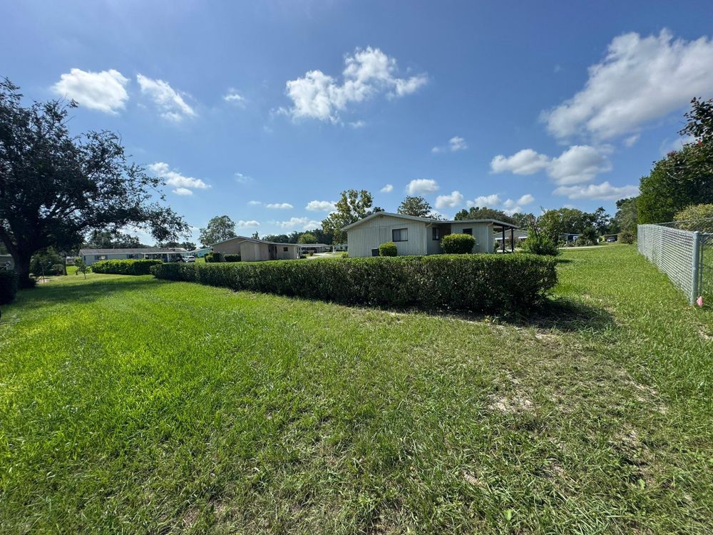 All Photos for Young's Lawn Services LLC in Ocala, FL