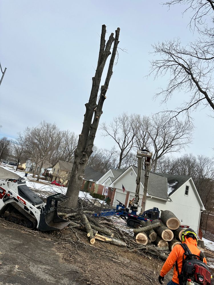 All Photos for Cross Family Tree Service in Kearney, MO