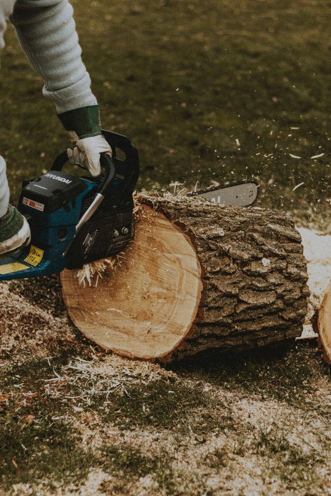 Serving Manassas, VA, and surrounding areas, our Stump Removal service efficiently eliminates unsightly stumps, enhancing your property's appearance and safety while creating space for new landscaping opportunities, ensuring a seamless blend with your existing outdoor environment. for W D Giampa Lawns and Landscape Inc. in Manassas, VA