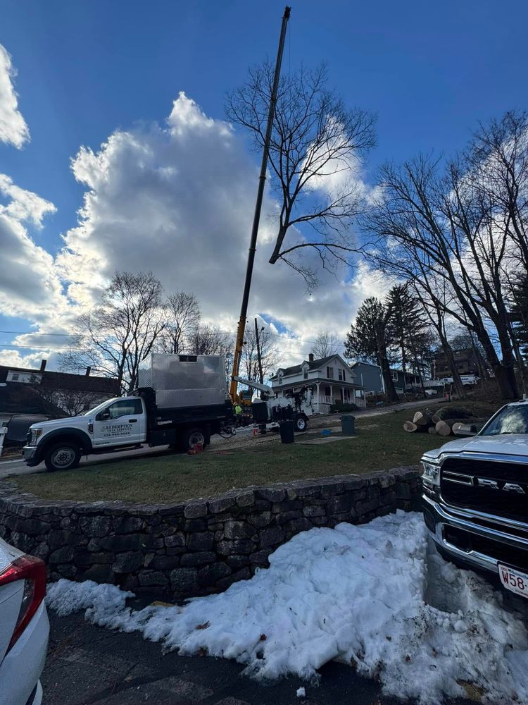 Tree Removal for Redemption Tree & Landscape LLC  in Oakham, MA