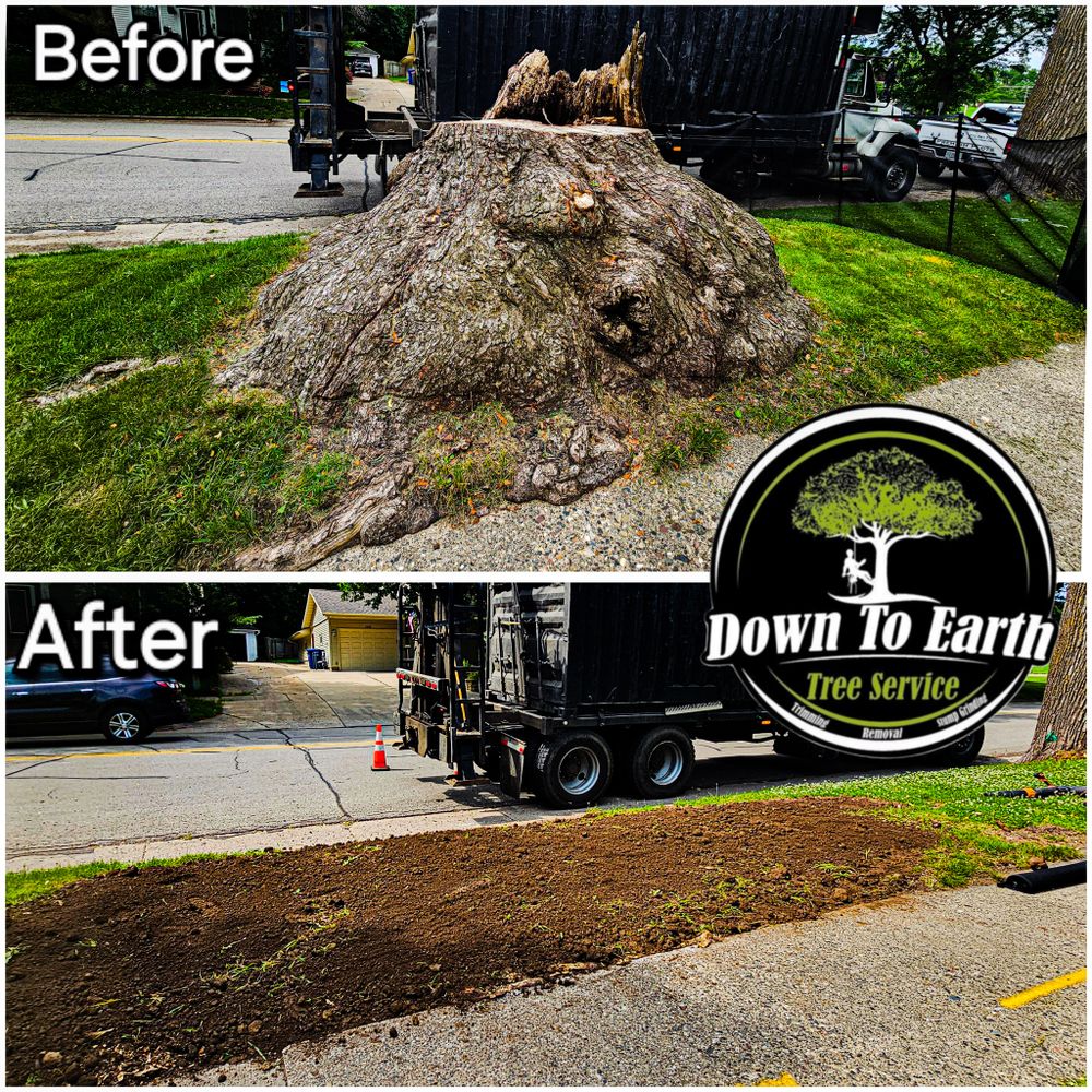 All Photos for Down To Earth Tree Service in Red Wing,  Minnesota