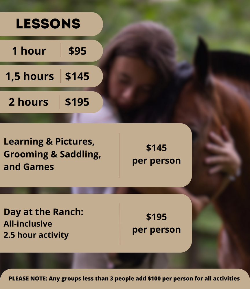 Lessons for Blue Stone Farm in Wantage, NJ