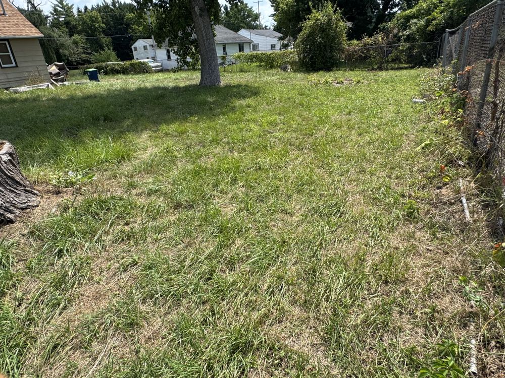 Landscaping Lawn Care for Daugherty's Tough Lawn Care in Essexville, MI