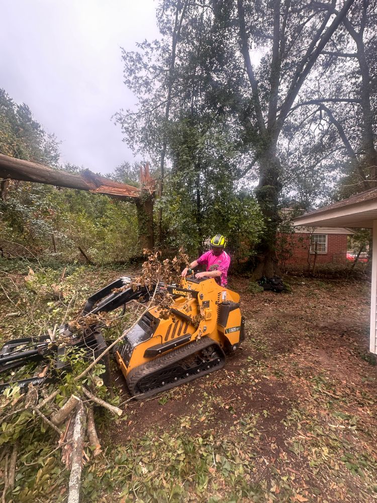 All Photos for Elite Tree & Landscape Services LLC in St. Augustine, FL