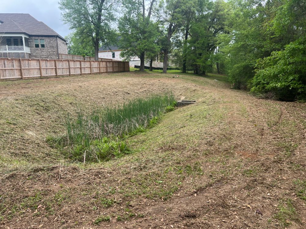 Retention/Detention pond maintenance  for Southern Venom Services in Daphne, AL
