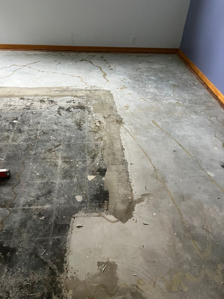 All Photos for Dib 896 Flooring in Dearborn Heights, MI