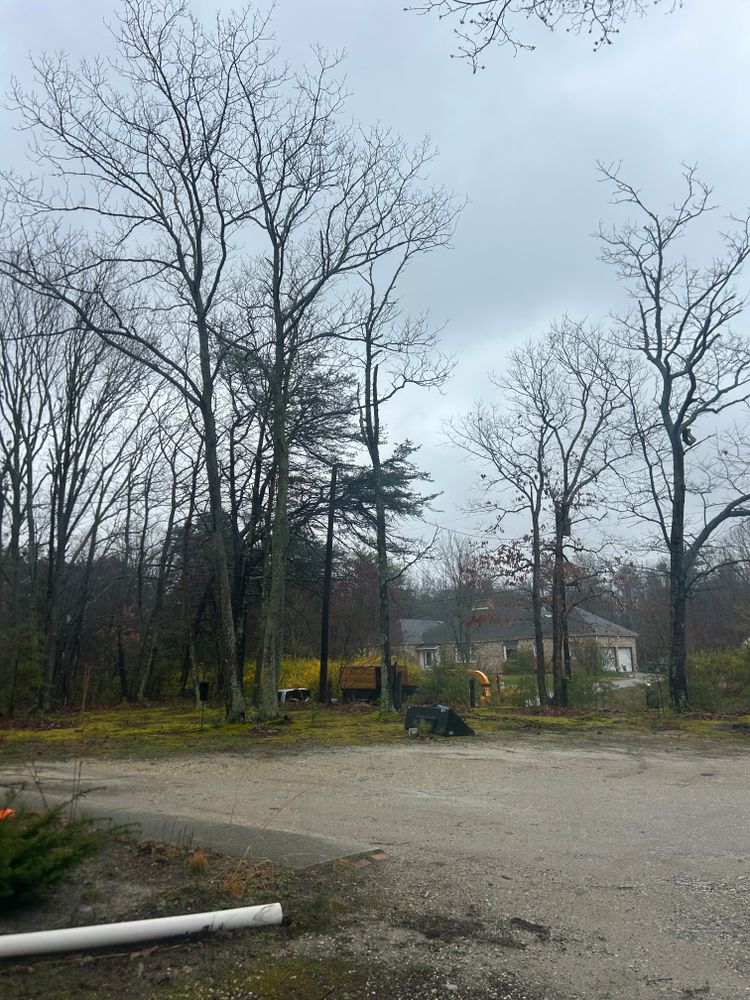All Photos for Hingewood Tree Service in Salem, NJ