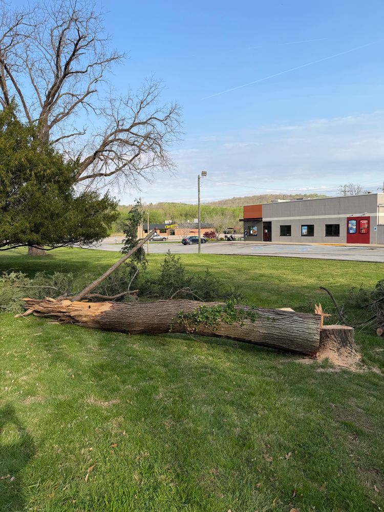 All Photos for Yard Barbers in Paoli, IN