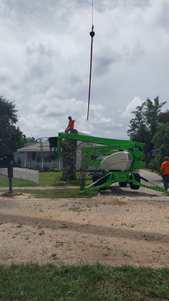 All Photos for Daniel Hickey’s Tree Service in DeLand, FL