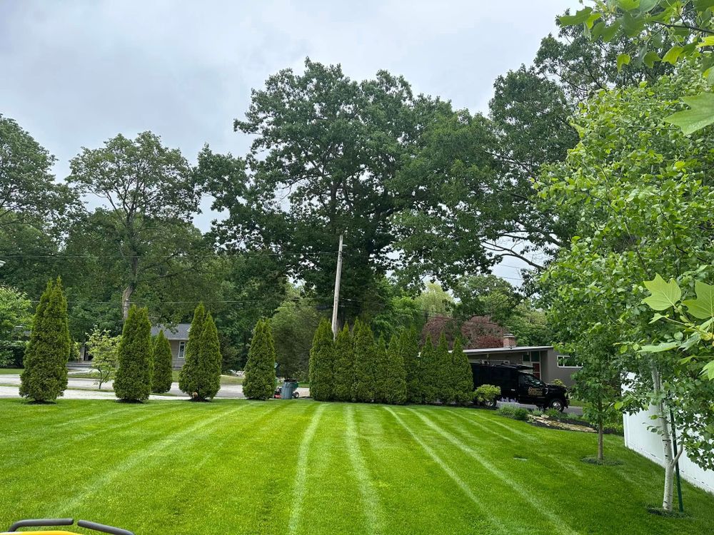 All Photos for Saavedra & Sons Landscaping in Waltham, MA
