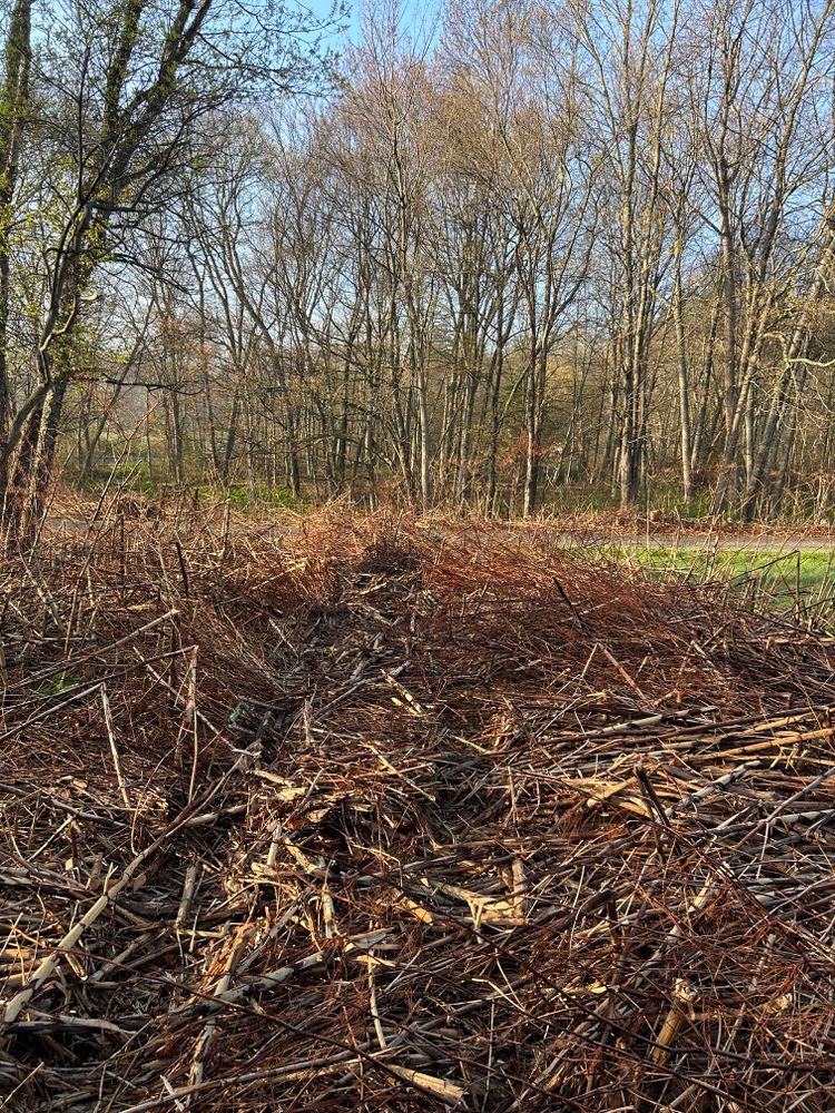 All Photos for JAD Excavating LLC in Goshen, CT
