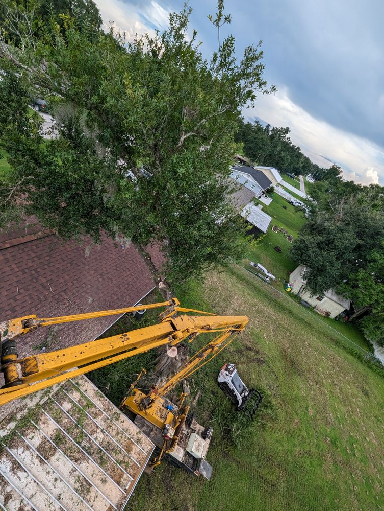 All Photos for Regal Tree Service and Stump Grinding in Wauchula, FL