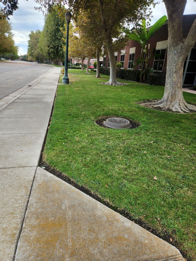 All Photos for Vargas LANSCAPE LLC in Stockton, CA