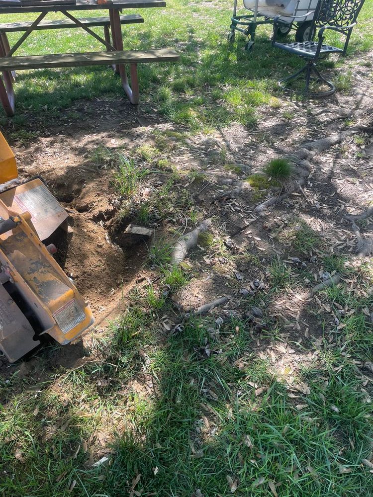 Tree Removal for Mad Dust Stump Grinding in Howard County, MD