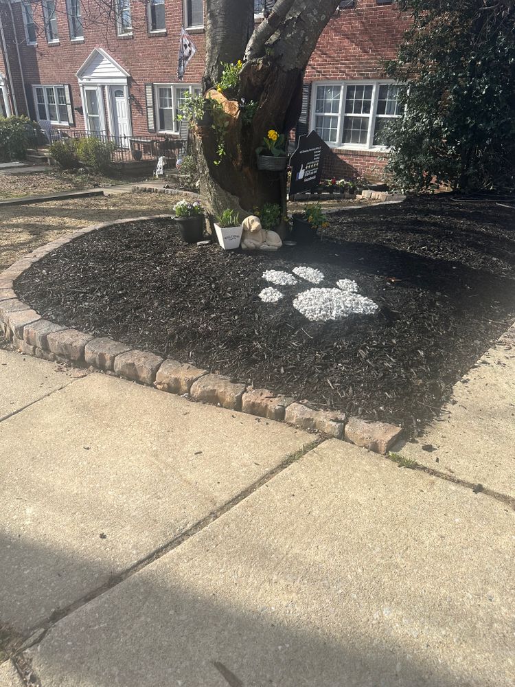 All Photos for Matteo Hardscapes in Towson,  MD