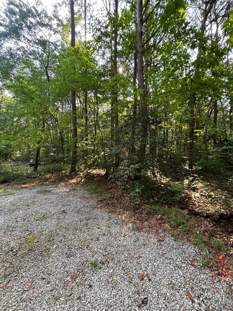 All Photos for TD Dirtworks in Tracy City, TN