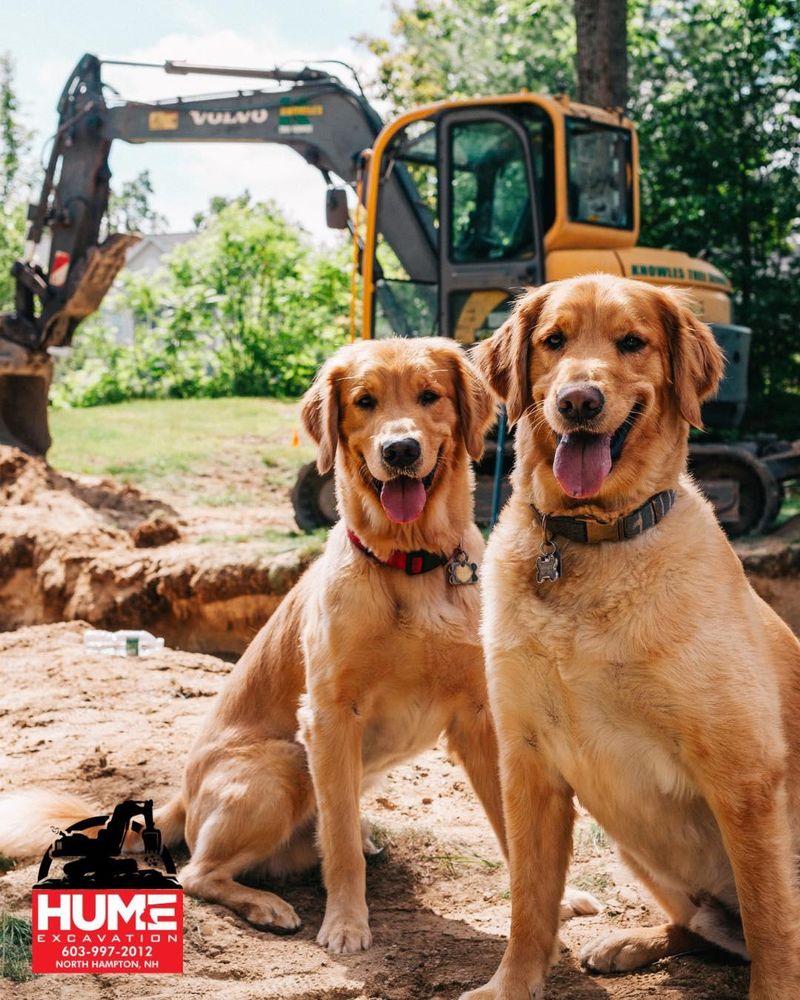 All Photos for Hume Excavation in North Hampton, NH