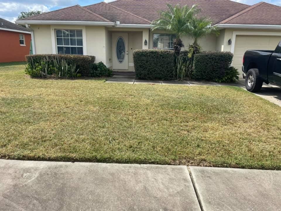 Our Yard Cleanups service includes removing debris, trimming bushes, and ensuring your outdoor space looks tidy and well-maintained. Let us transform your yard into a beautiful oasis today. for A&D Lawn Care of Lakeland in Lakeland, FL
