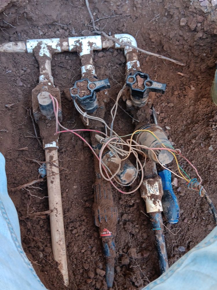 All Photos for Family Landscaping in Phoenix, AZ