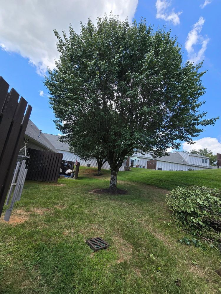 All Photos for M&L Lumber and Excavating in Jonesborough, TN