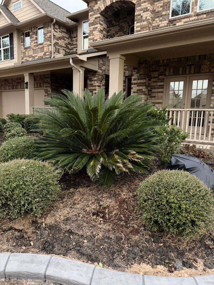 All Photos for Texas Curb N Borders in Houston, TX