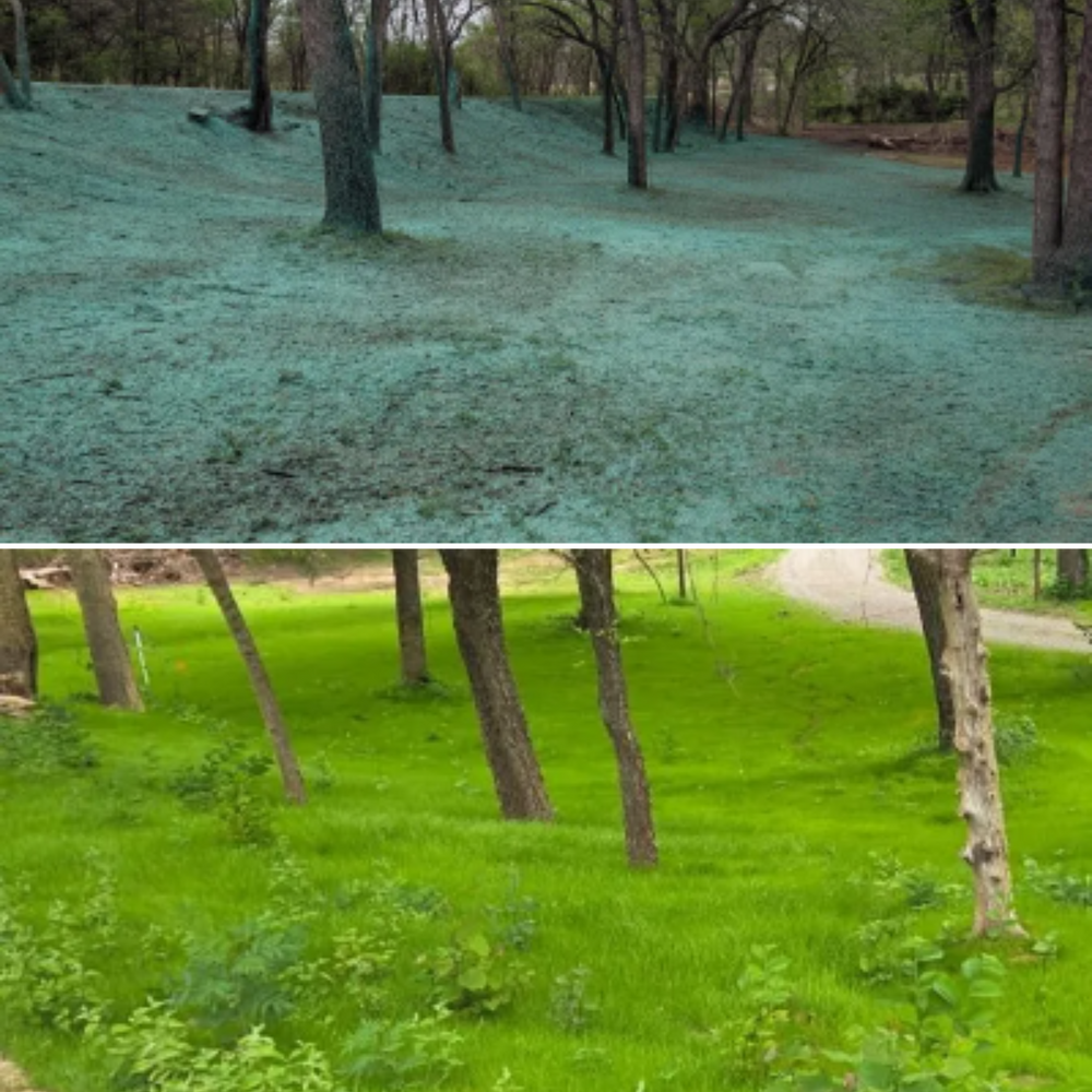 All Photos for Foyil Bobcat and Hydroseeding in Edmond, OK