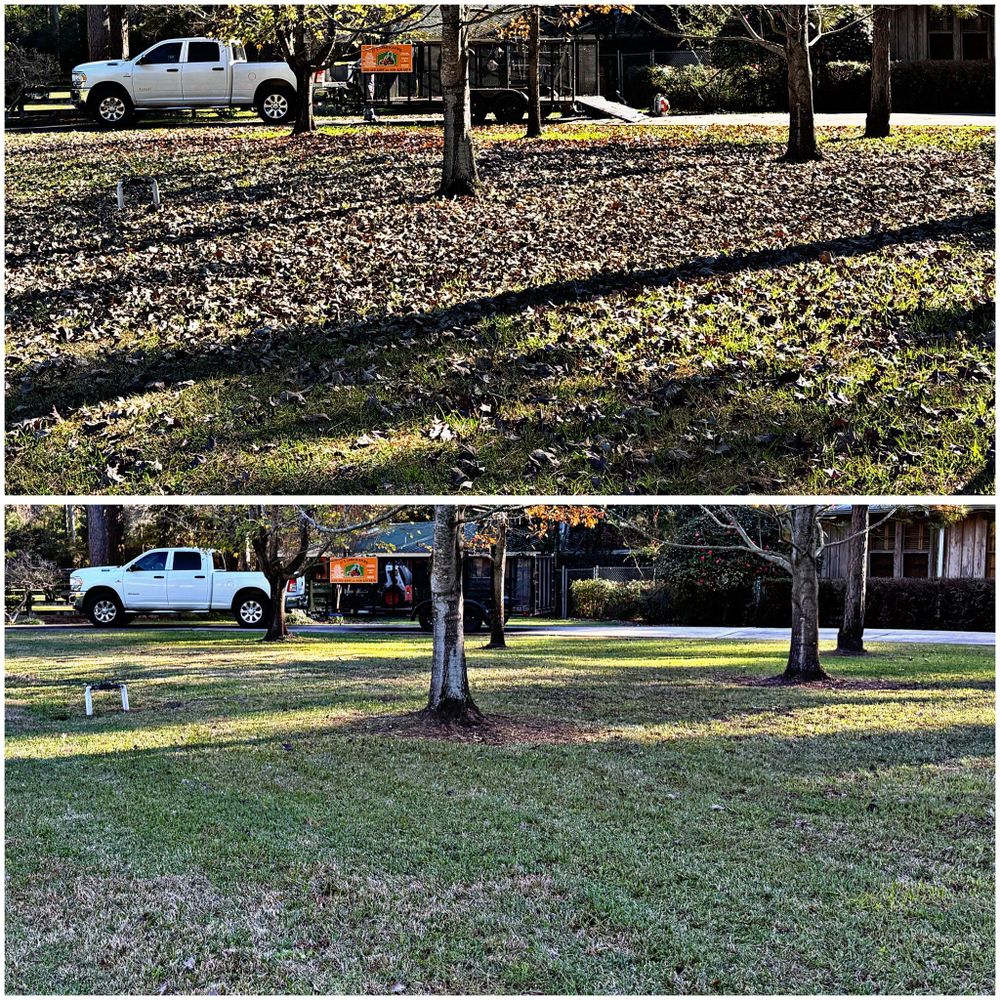 All Photos for JT’s Landscaping in Tyler County, TX