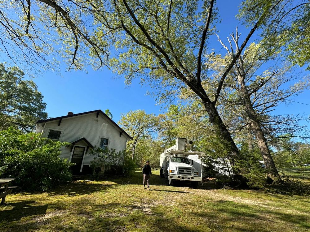 Tree Removal for Rawls Tree Care in Richmond, VA