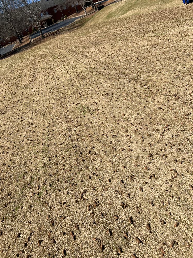 All Photos for Amerigreen Lawn & Landscape in Duluth, GA