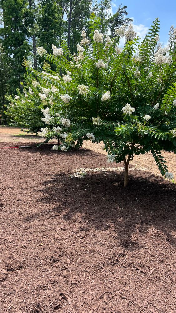 Landscaping for KM Landworks in Moncure ,  NC