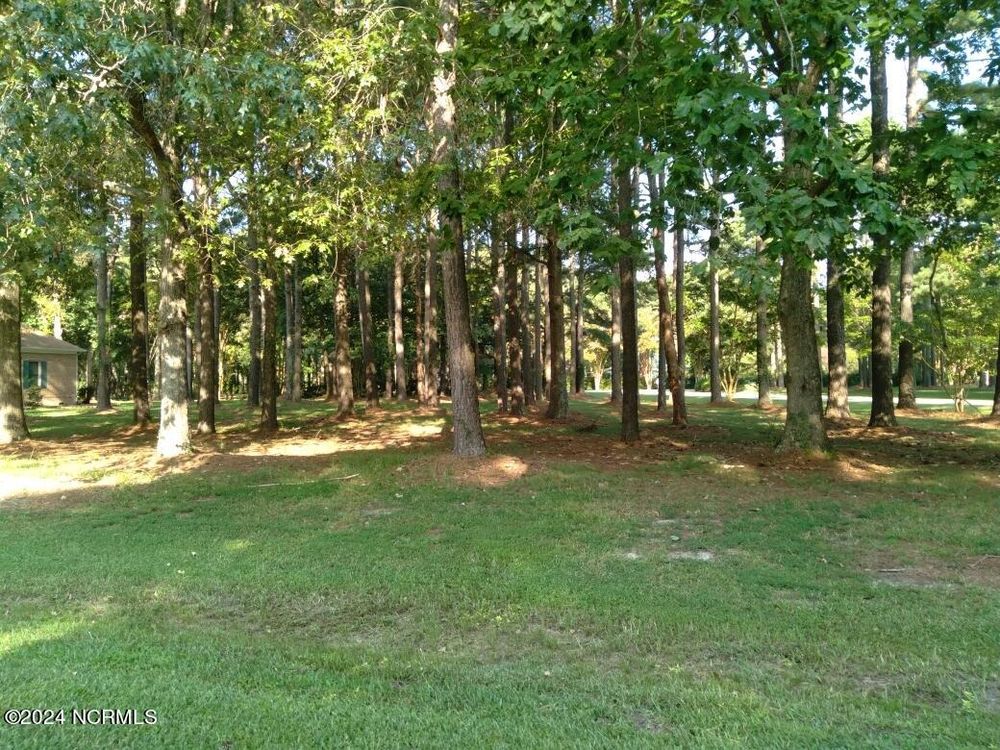 Croatan Lot 18 for Stellar Properties North Carolina in Hertford, NC