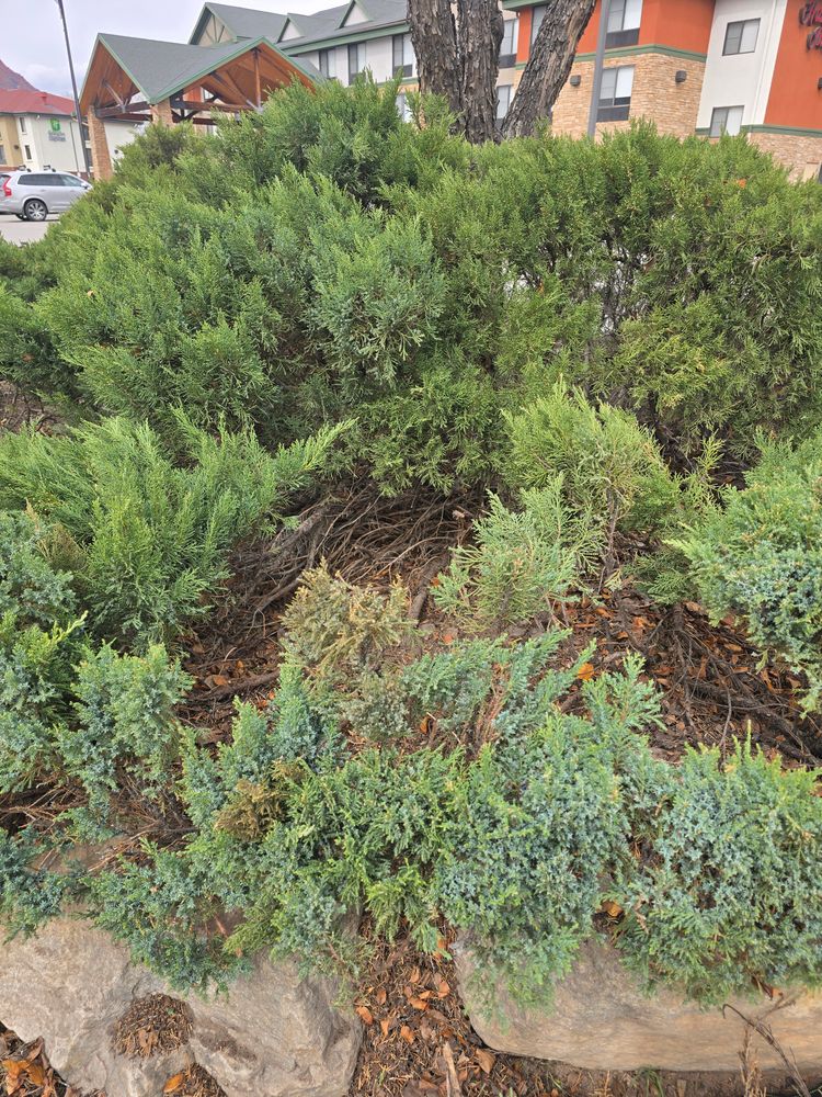 All Photos for LRS: Landscape, Rescue, Snow in Silt, CO