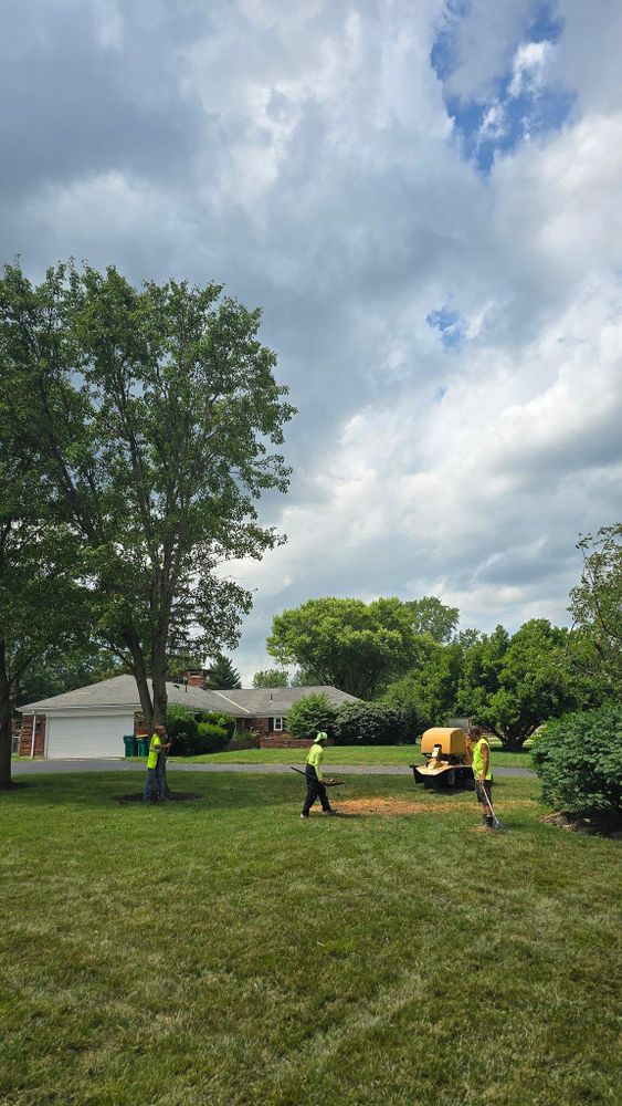 All Photos for F & F Tree Service in Beavercreek, OH