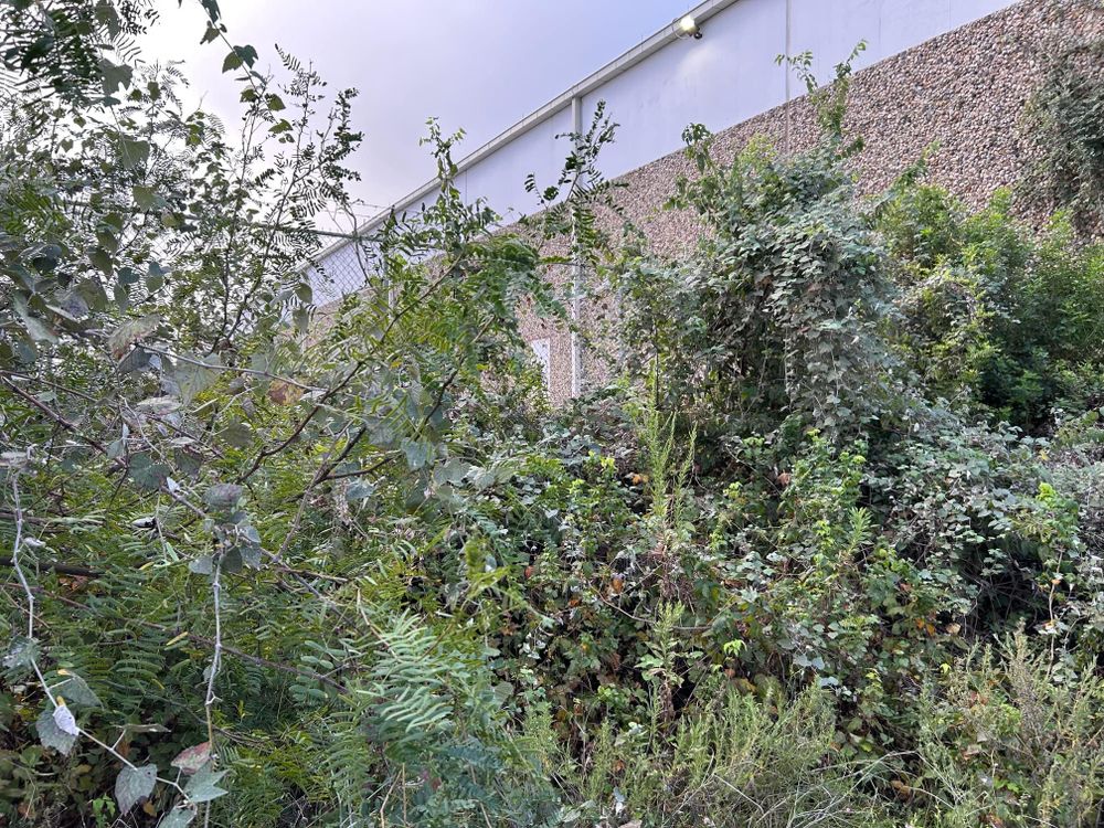 All Photos for Rustic Roots Landscaping in Austin, TX