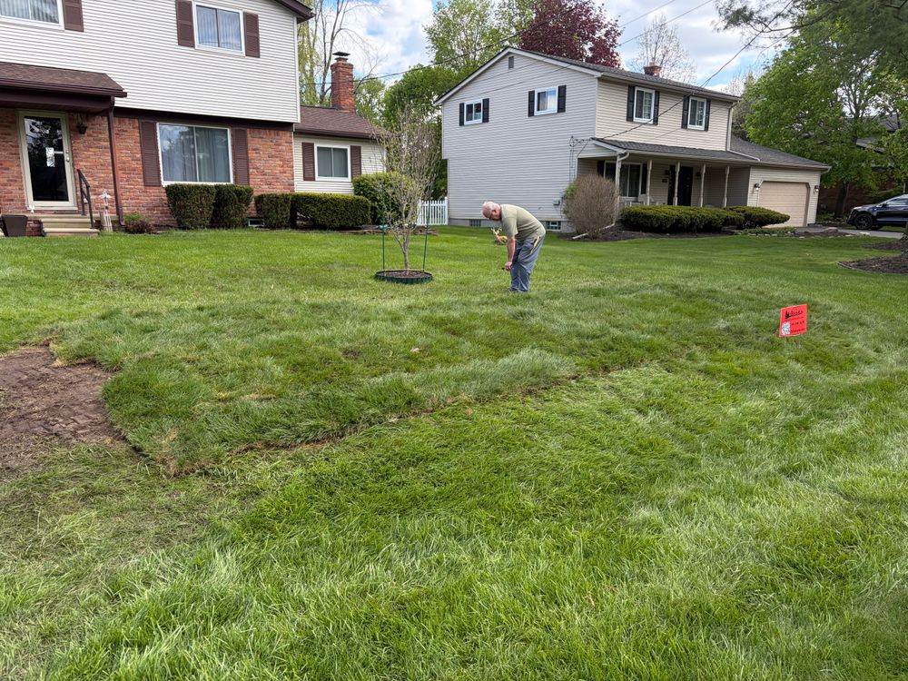 All Photos for Steed's Lawn and Landscape LLC in White Lake, MI