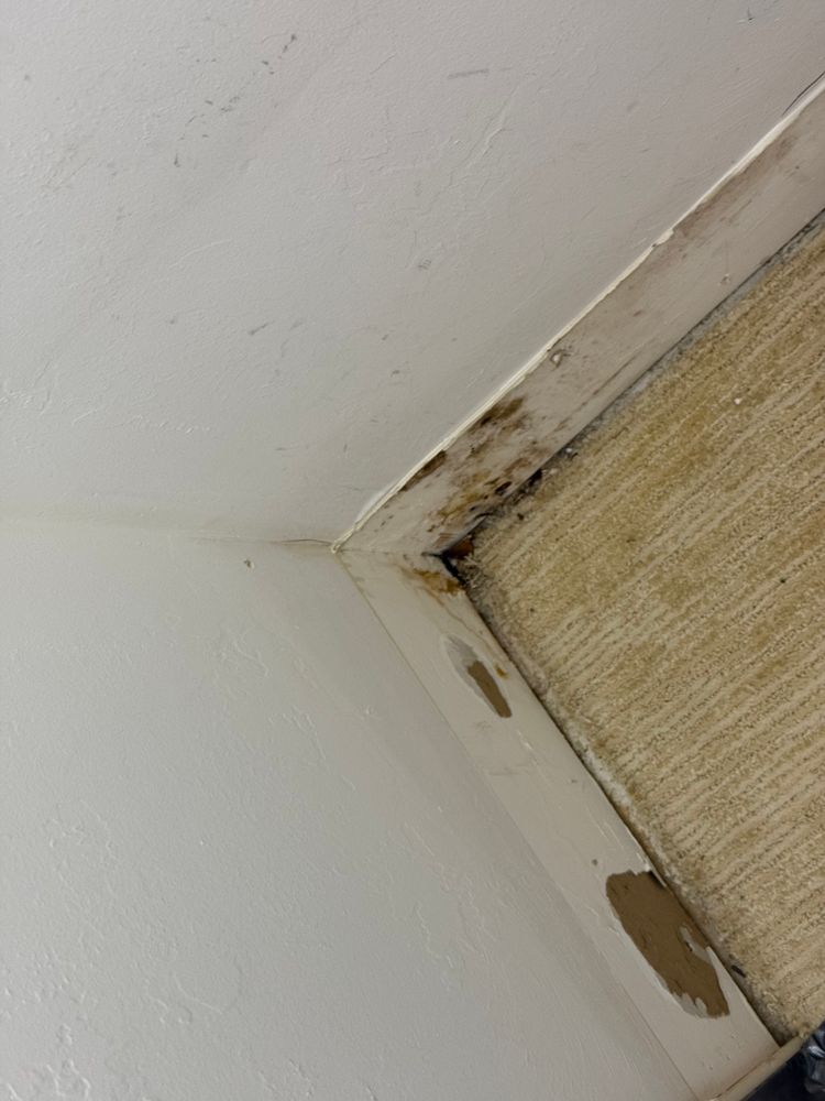 All Photos for N&D Restoration Services When Disaster Attacks, We Come In in Cape Coral,  FL