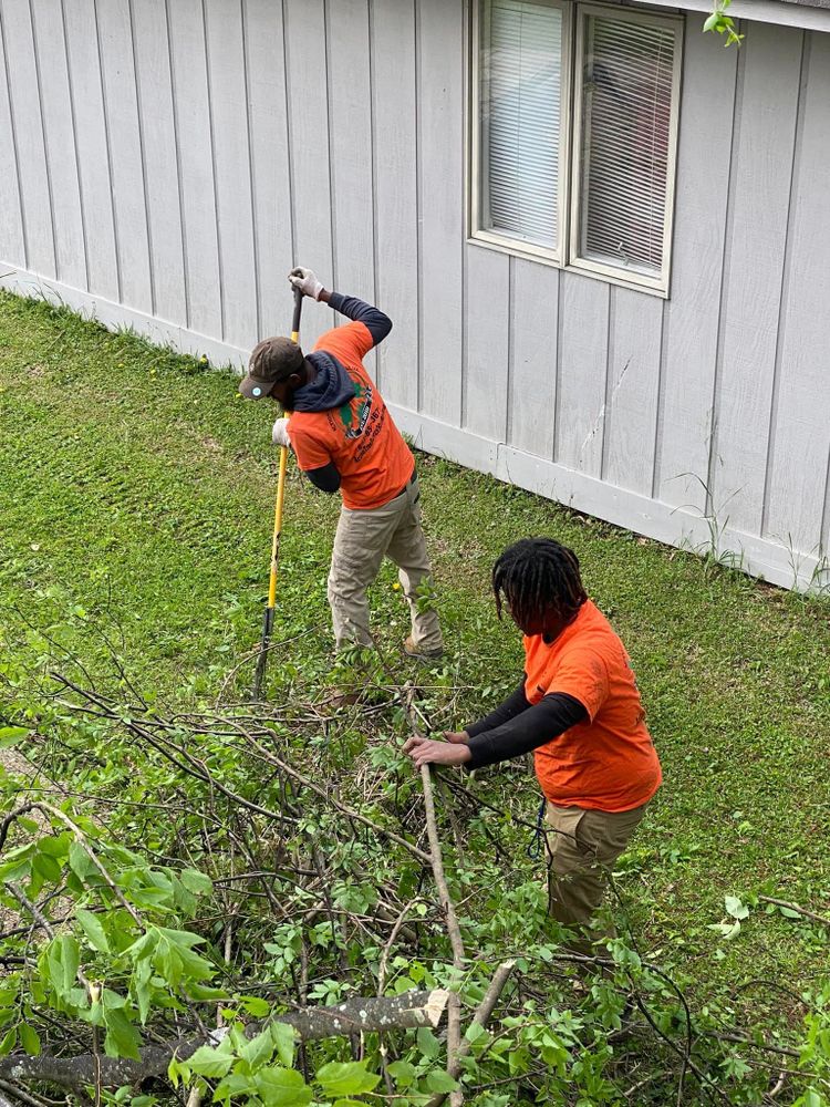 Tree Removal for Action Tree & Debris Removal in Jackson,  MS