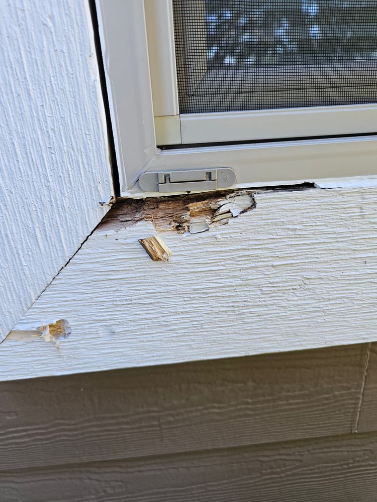 All Photos for Home Pros in Maple Falls, WA