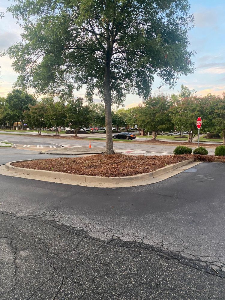 All Photos for Georgia Pro Scapes in Cumming, Georgia
