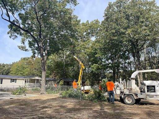 All Photos for Ross Family Tree Service LLC  in Hohenwald, TN