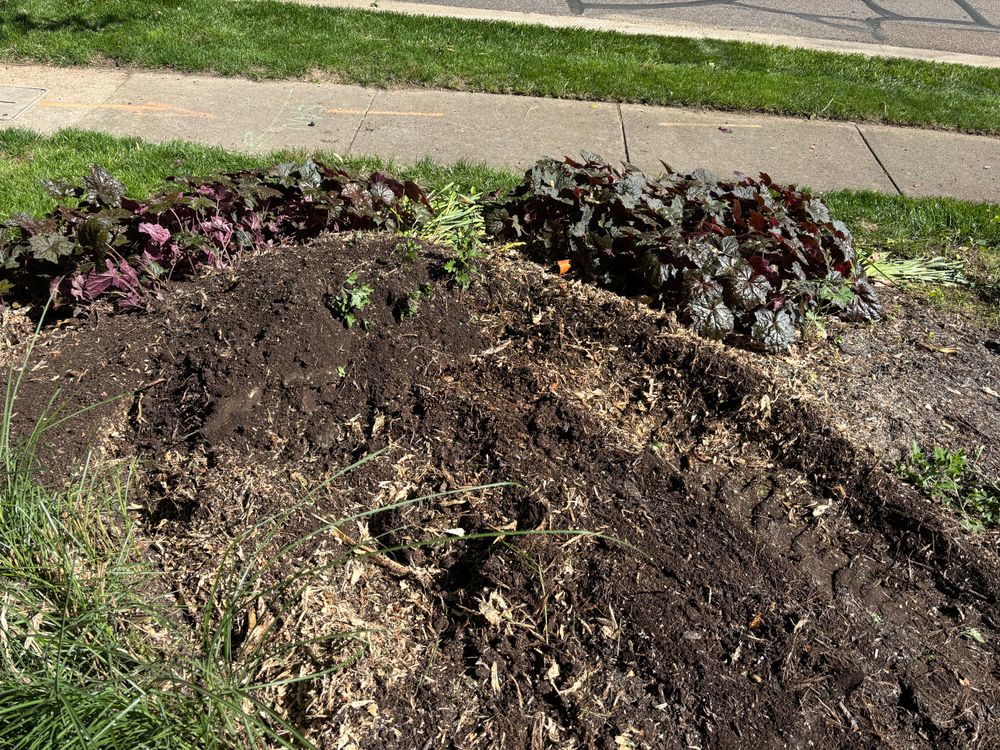 All Photos for Conrad's Stump Removal in Columbus, IN