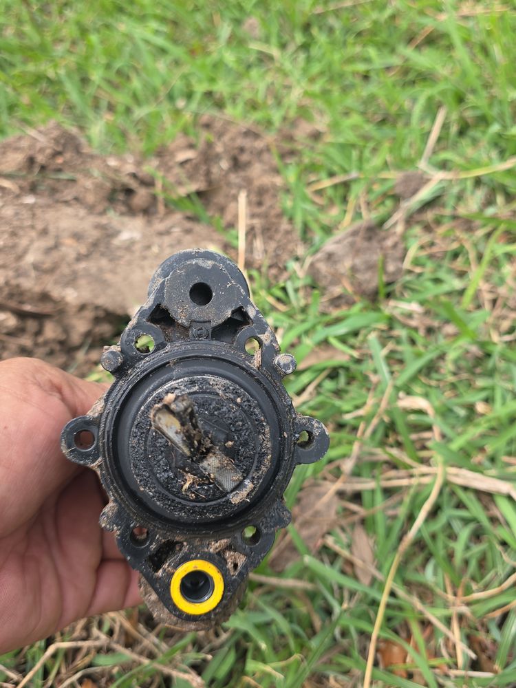 All Photos for Pro Lawn Care RGV in McAllen, TX