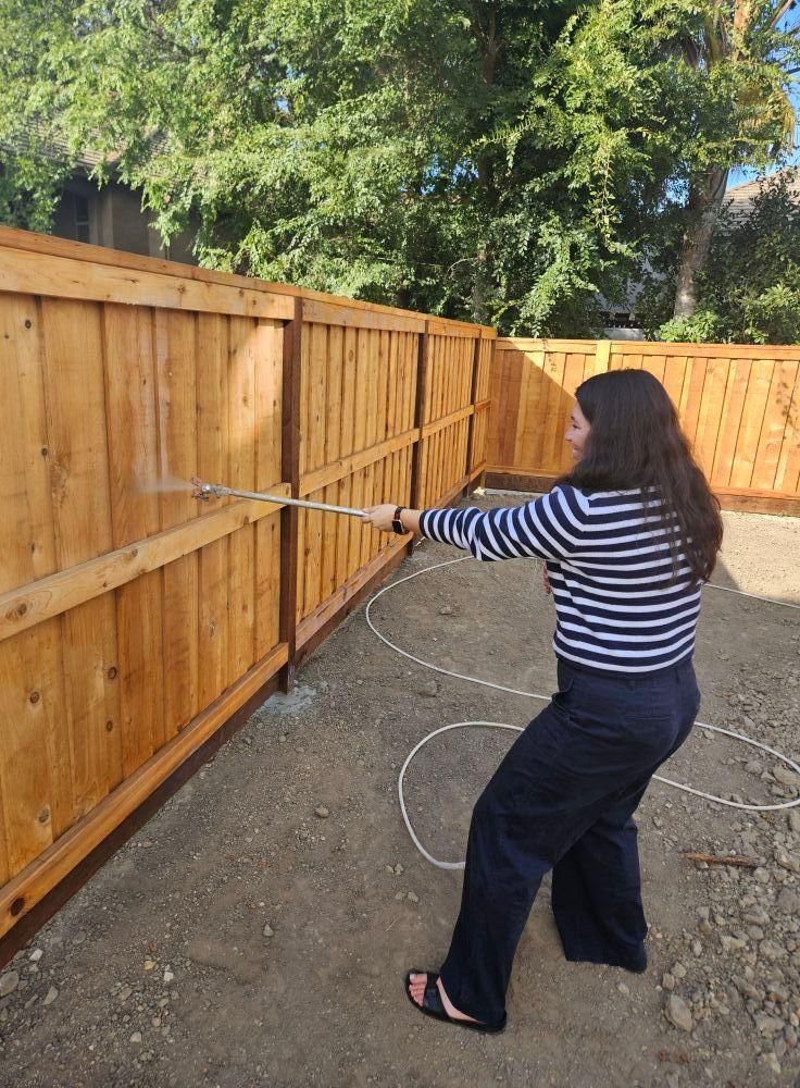 All Photos for The Painter in Citrus Heights, CA