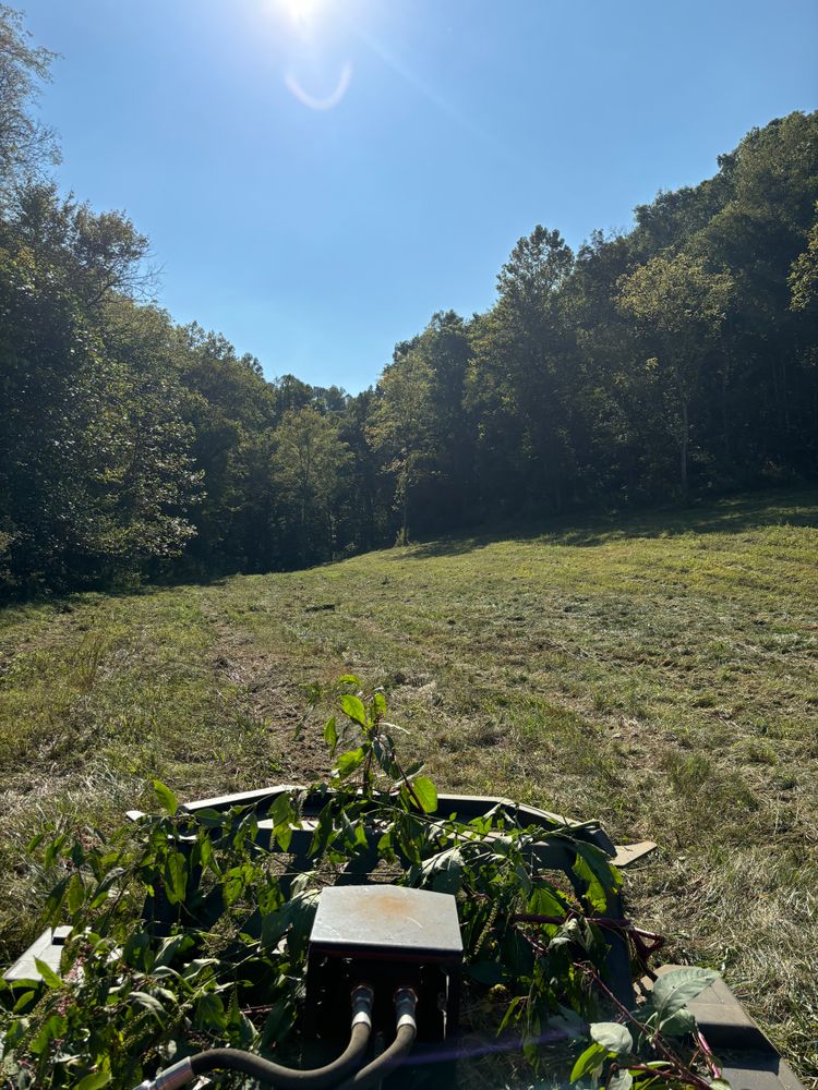 All Photos for Gregory Grass and Lawn in Lafayette, TN