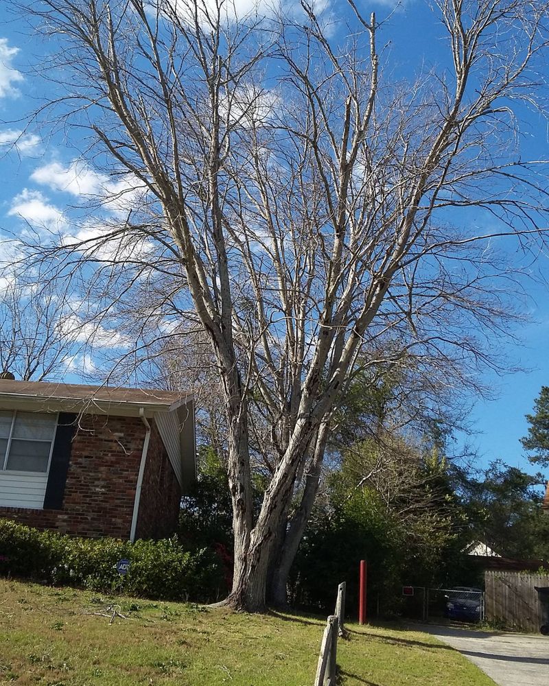 Our Past Work for E.P.I Lawncare & Pressure Washing  in Augusta, GA