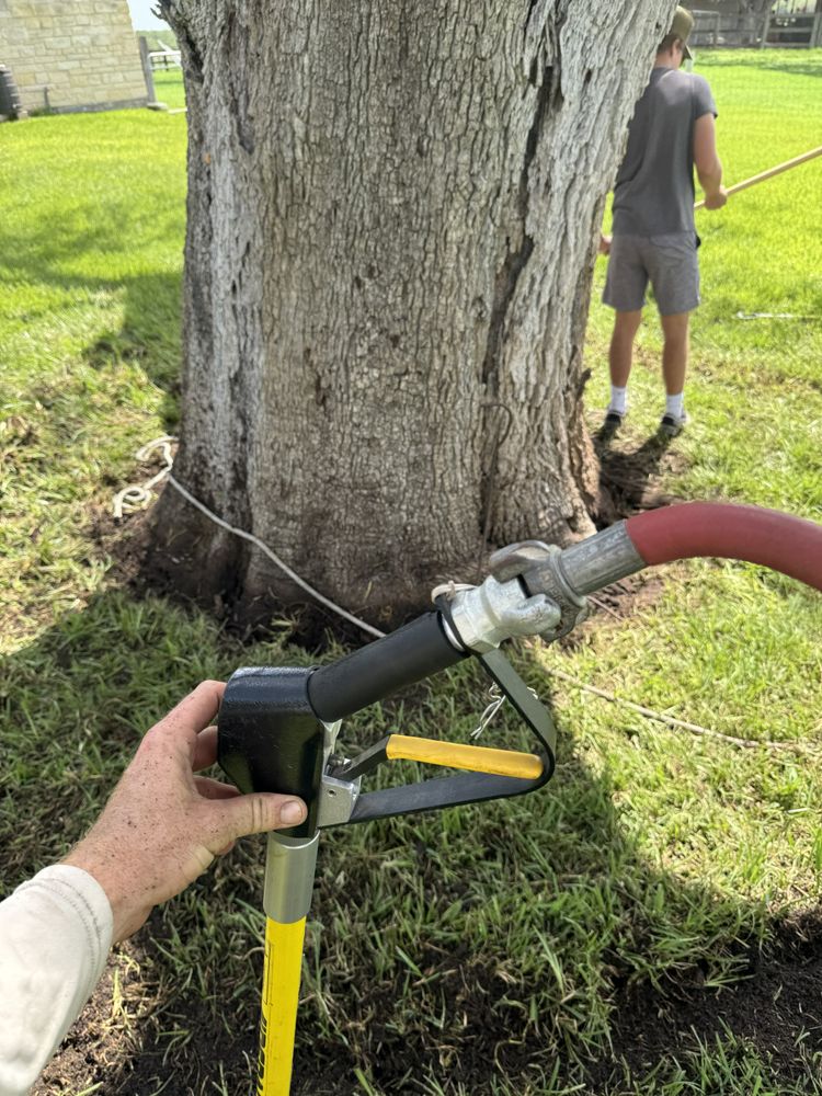 All Photos for Braun Tree Service in Floresville, Texas