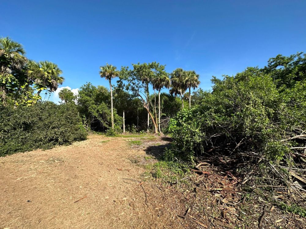 All Photos for McLeran in Naples, FL