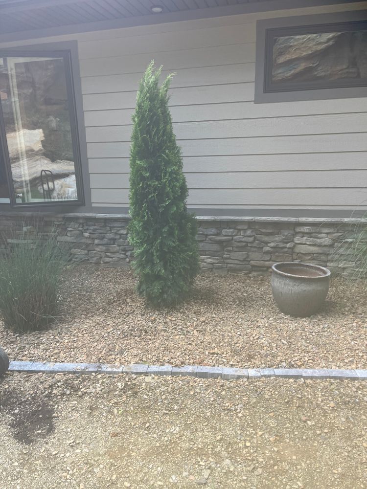 All Photos for Taylors Enterprises in Johnson City, TN