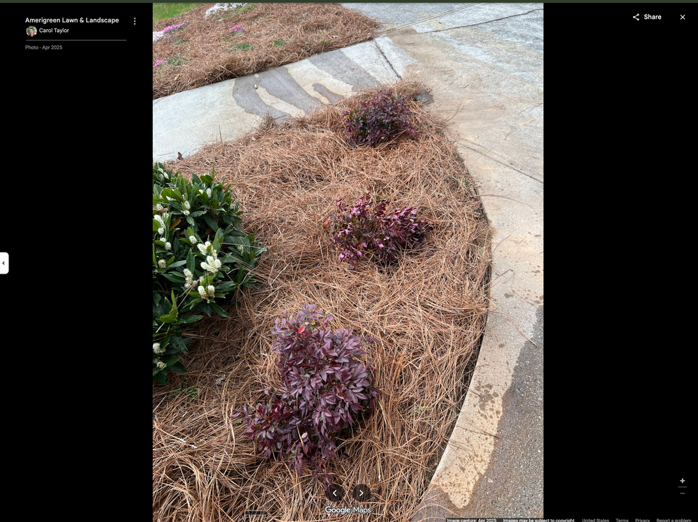 All Photos for Amerigreen Lawn & Landscape in Duluth, GA